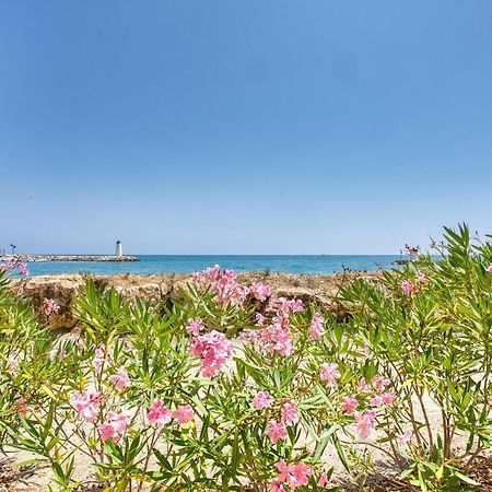 Loft Marina Direct Plage Daire Villeneuve-Loubet Dış mekan fotoğraf