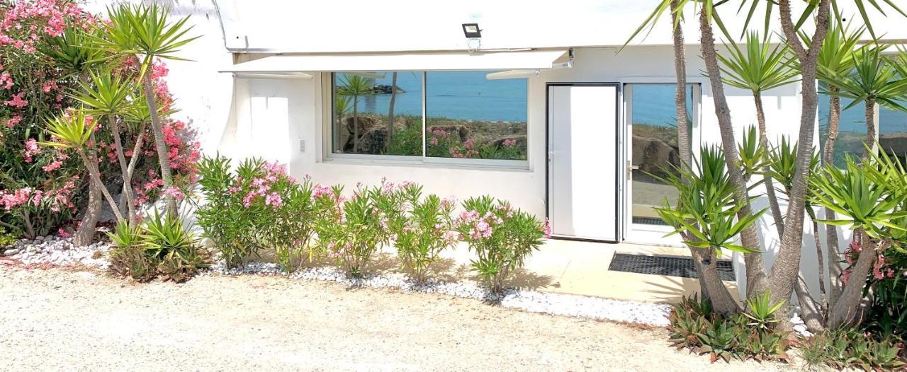 Loft Marina Direct Plage Daire Villeneuve-Loubet Dış mekan fotoğraf