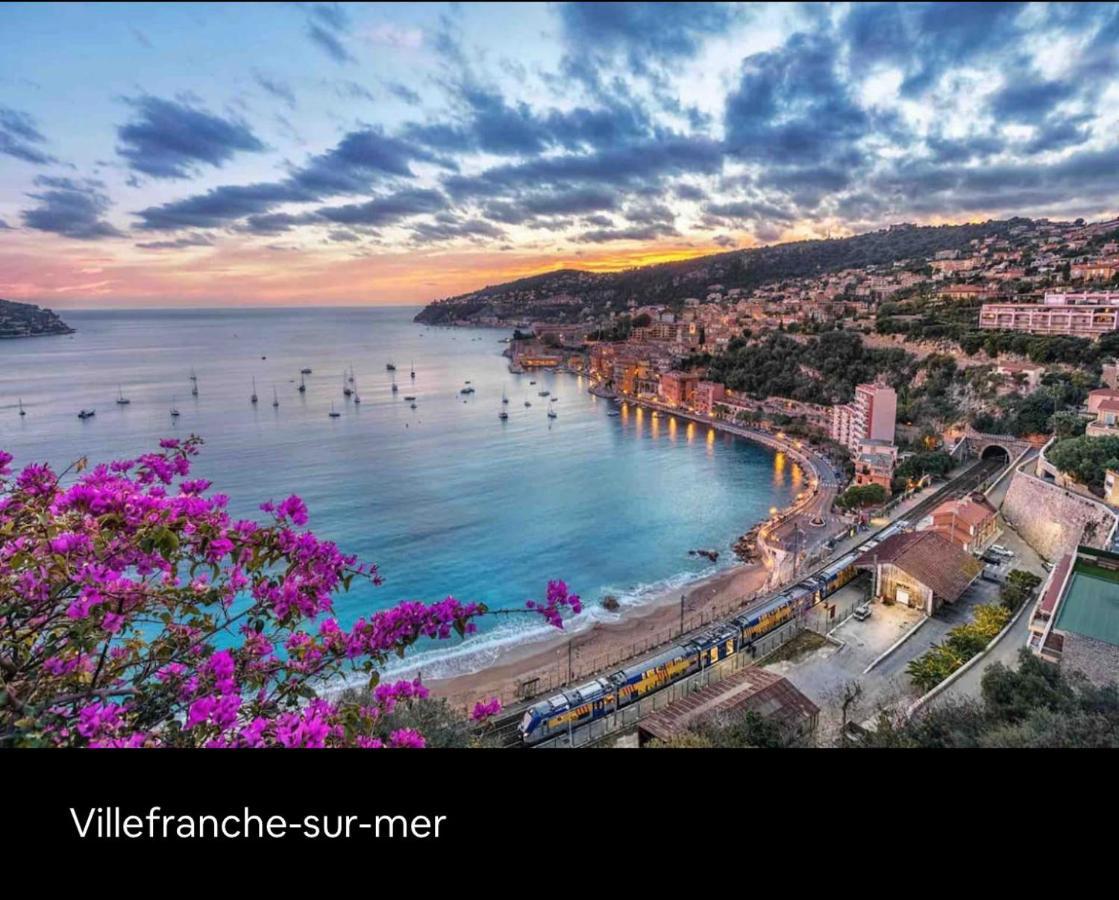 Loft Marina Direct Plage Daire Villeneuve-Loubet Dış mekan fotoğraf
