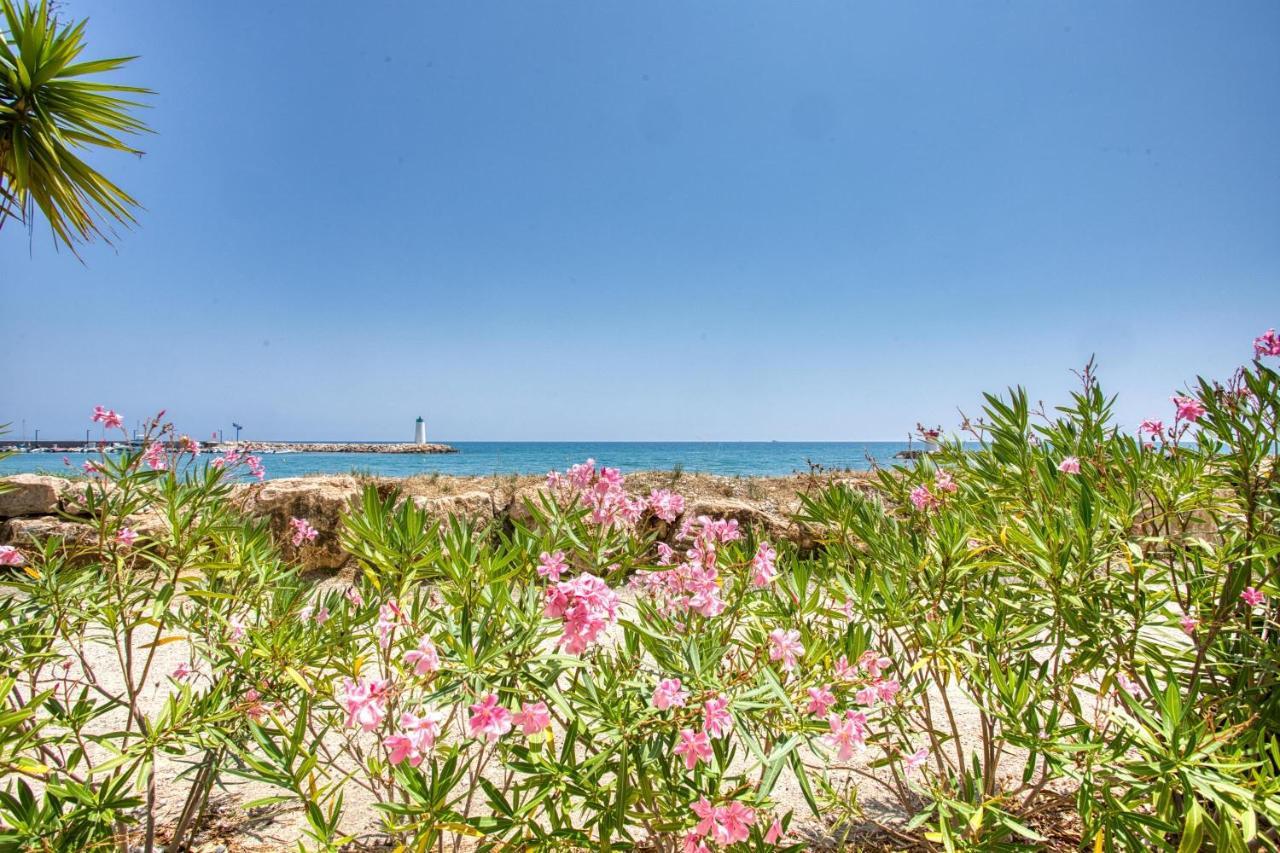 Loft Marina Direct Plage Daire Villeneuve-Loubet Dış mekan fotoğraf