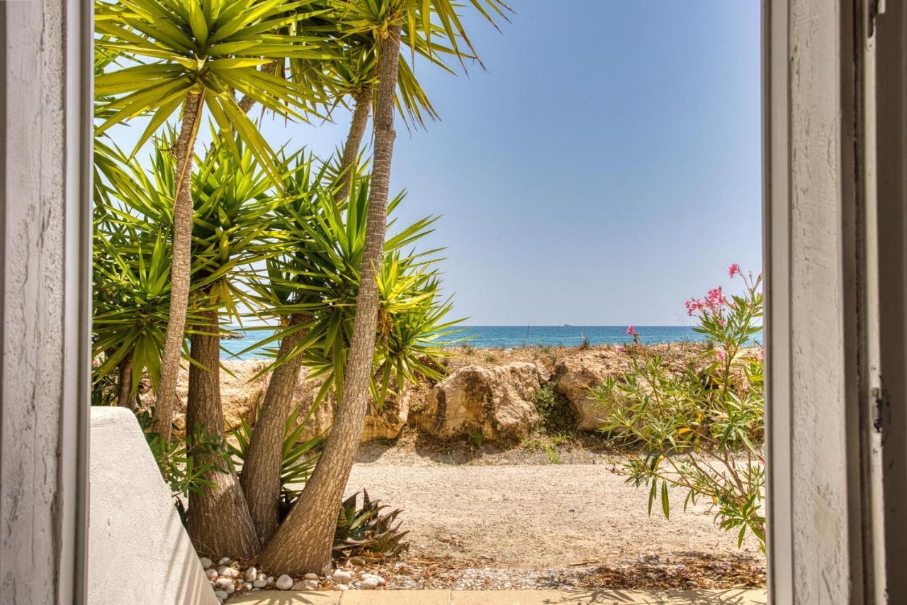 Loft Marina Direct Plage Daire Villeneuve-Loubet Dış mekan fotoğraf