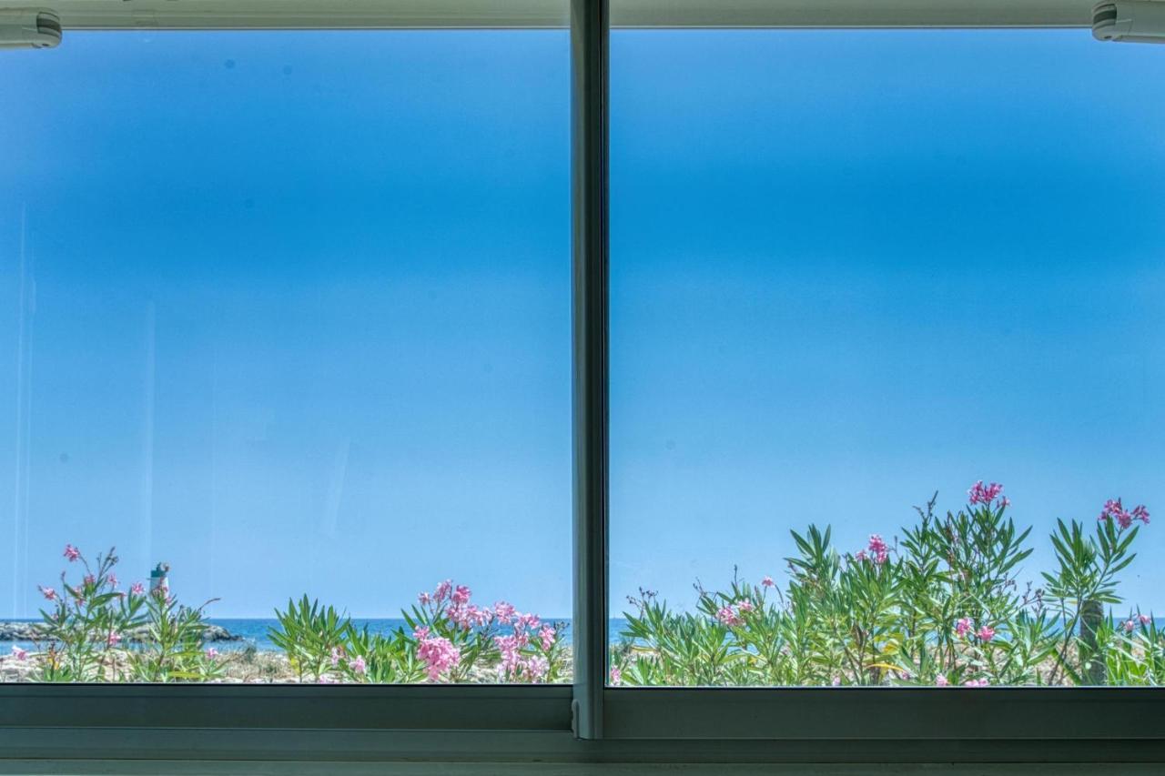 Loft Marina Direct Plage Daire Villeneuve-Loubet Dış mekan fotoğraf