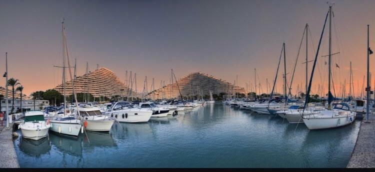 Loft Marina Direct Plage Daire Villeneuve-Loubet Dış mekan fotoğraf